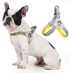 Pet Dog Cat Harness, Pet Harness With Leashset, Adjustable P | Other