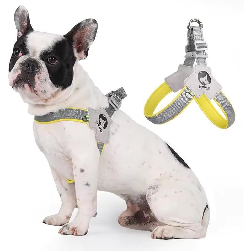 Pet Dog Cat Harness, Pet Harness With Leashset, Adjustable P | Other