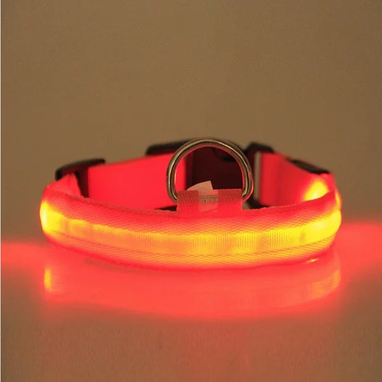 Led Pet Safety Halo Style Collar | Other
