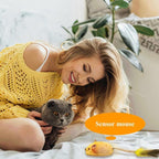 Interactive Cat Toy Mouse With Led Lights Forindoor Cats Usb | Electronic Learning Toys