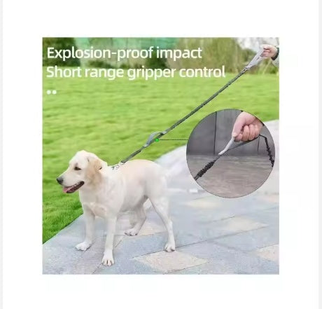 Yt Pet Dog Explosion Proof Impact Leash, Heavy Duty Dog Leas | Other
