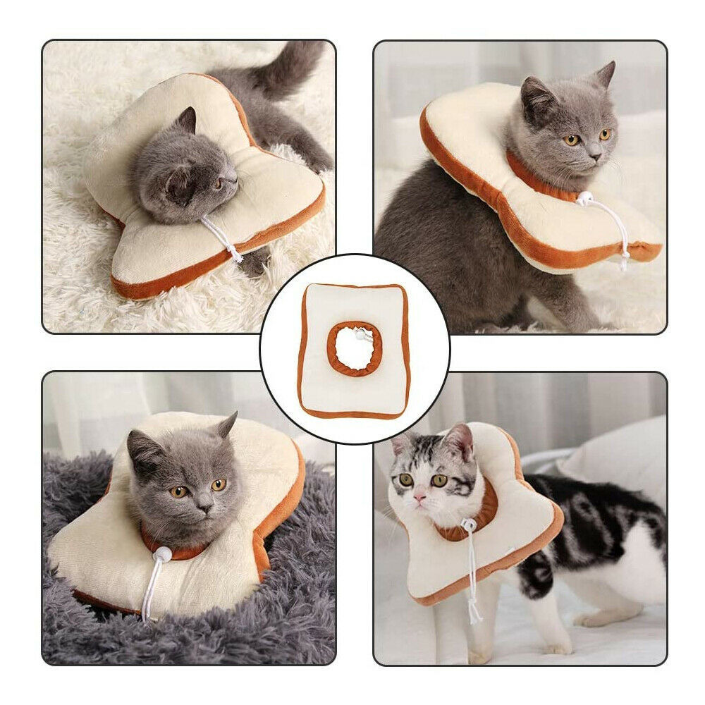 Adjustable Pet Neck Cone Recovery Pet Cat Recovery Collar Ca | Other