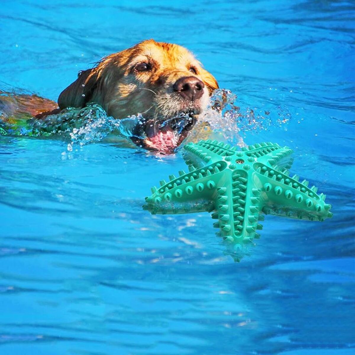 Dog Toy For Large Dogs Tooth Cleaning Chew Funny Interactive | Electronic Learning Toys