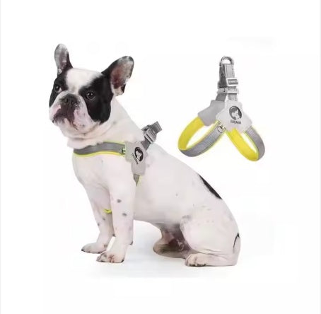 Yt Pet Dog Cat Harness, Pet Harness With Leash Group, Adjust | Other