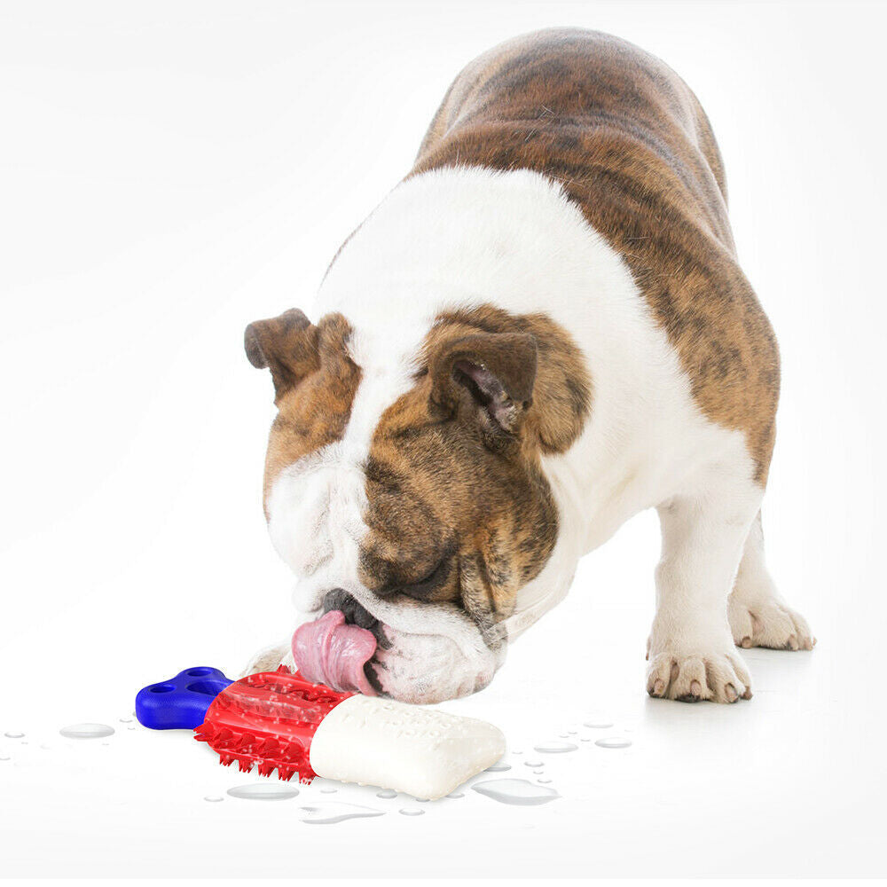 Floatable Pet Dog Cleaning Teeth Chew Toy Cooling Thirst Que | Electronic Learning Toys