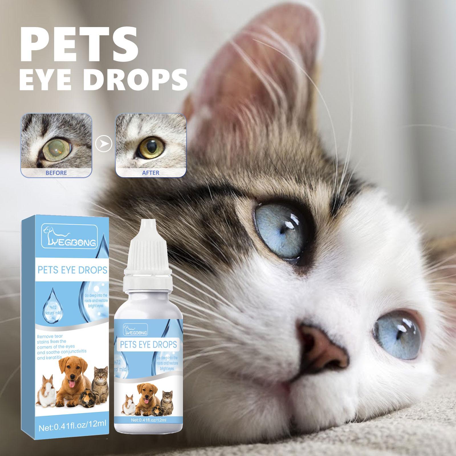 Igbang Eye Drops For Cats And Dogs Formulated With Vitamin B | Other