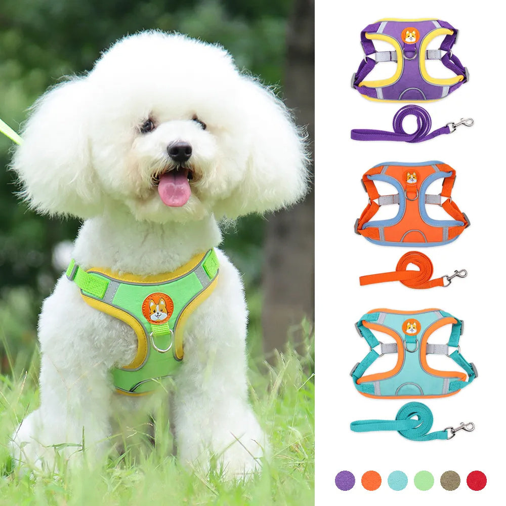 Dog Leash And Harness Set Pet Dog Harness And Leash Set | Other