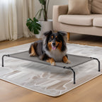 Pet Beds | Other