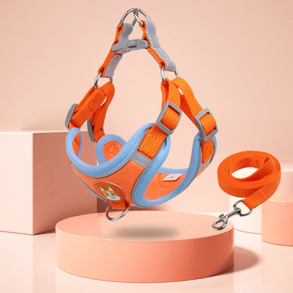 Dog Leash And Harness Set Pet Dog Harness And Leash Set | Other