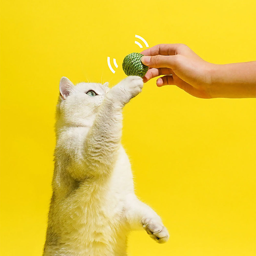 3pcs Cat Toy Balls, Interactive Pet Play Balls Sisal Rope Sc | Electronic Learning Toys