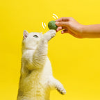 3pcs Cat Toy Balls, Interactive Pet Play Balls Sisal Rope Sc | Electronic Learning Toys