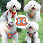Dog Leash And Harness Set Pet Dog Harness And Leash Set | Other