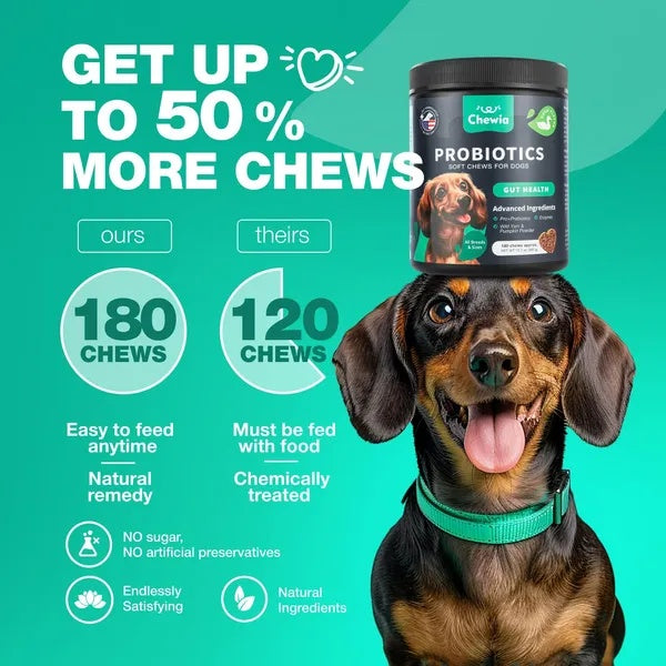 Probiotics For Dogs Gut Health Digestion Immunity Yeast Bala | Other