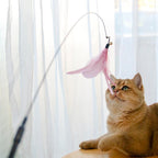Retractable Laser Cat Stick Toy Cat Toy Ballskitten Playing | Electronic Learning Toys