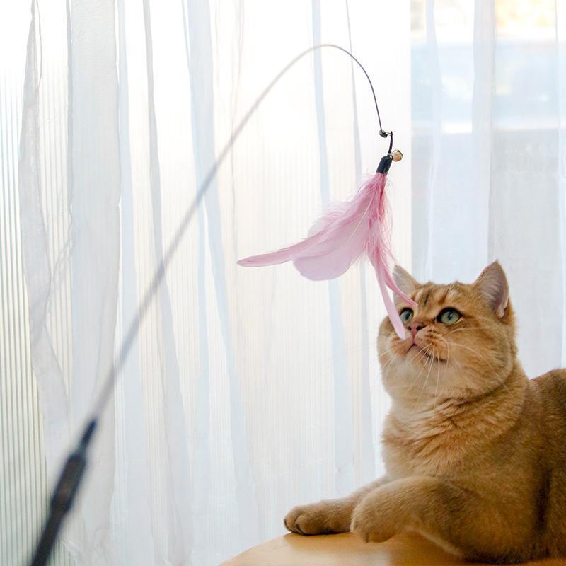 Retractable Laser Cat Stick Toy Cat Toy Ballskitten Playing | Electronic Learning Toys