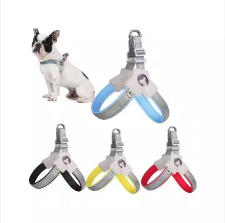 Yt Pet Dog Cat Harness, Pet Harness With Leash Group, Adjust | Other