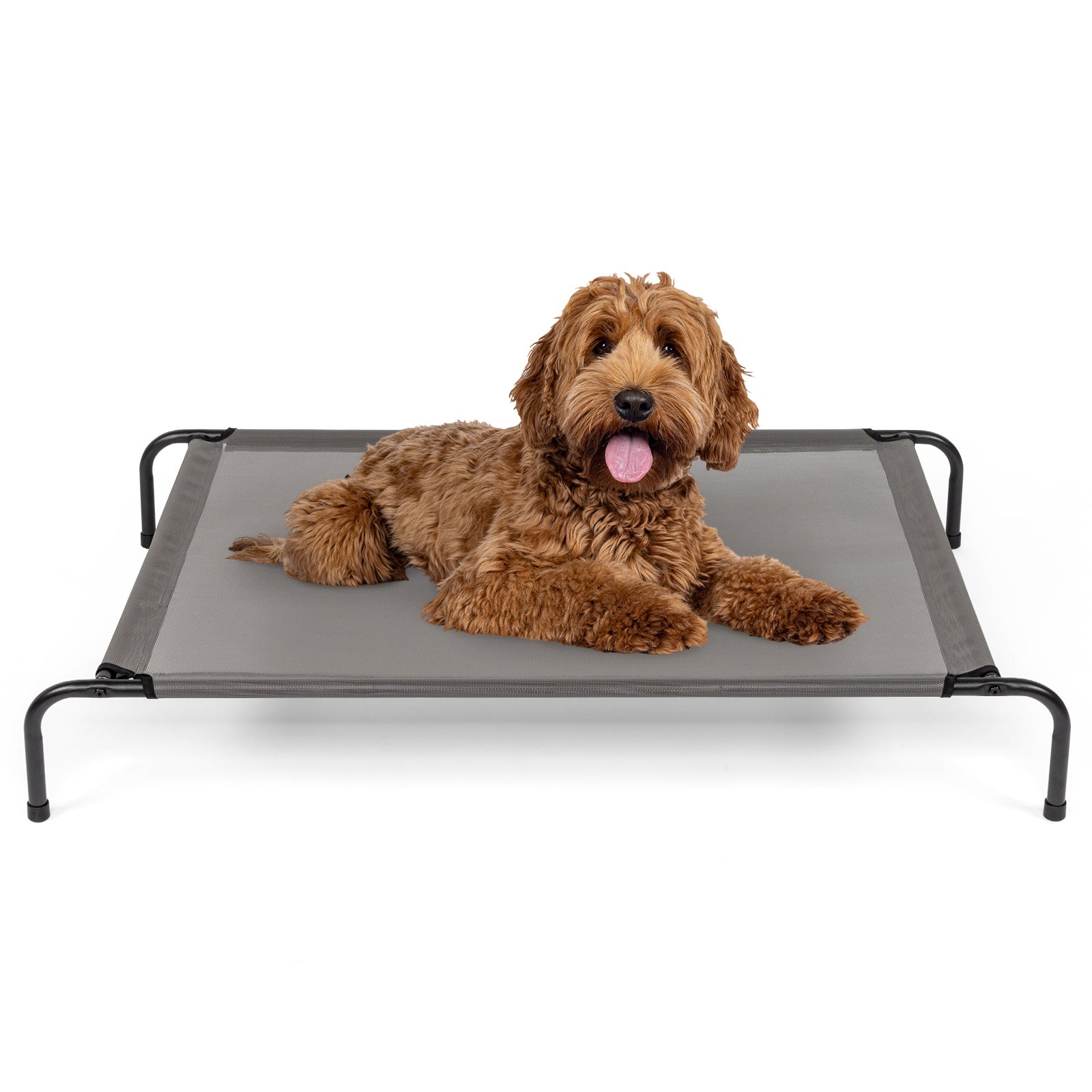 Pet Beds | Other