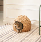 Weaving Rattan Circular Cat Bed | Other