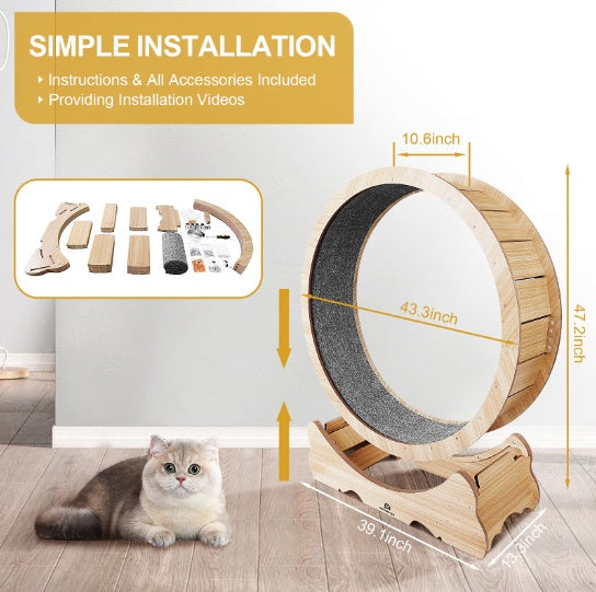Cat Exercise Treadmill With Carpeted Runway | Other