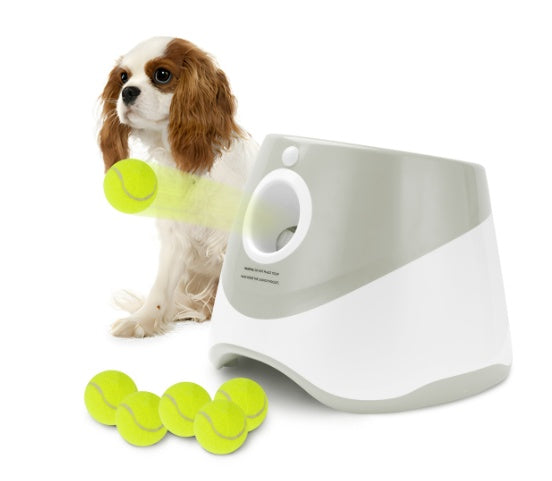Only Supports Self Pickup Automatic Dog Ball Launcher, Indo | Other