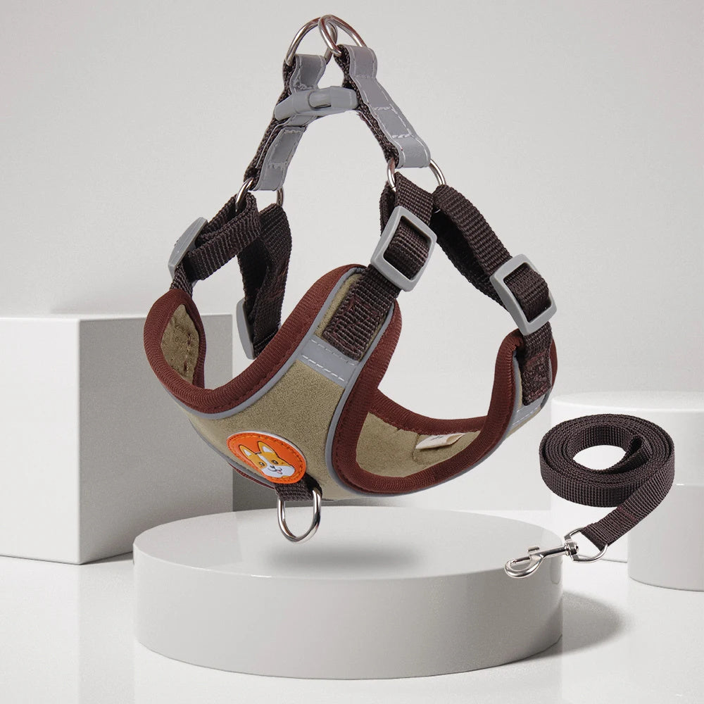 Dog Leash And Harness Set Pet Dog Harness And Leash Set | Other