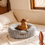 Mewoofun Donut Cat Bed - Washable Round Pet Bed For Indoor C | Other
