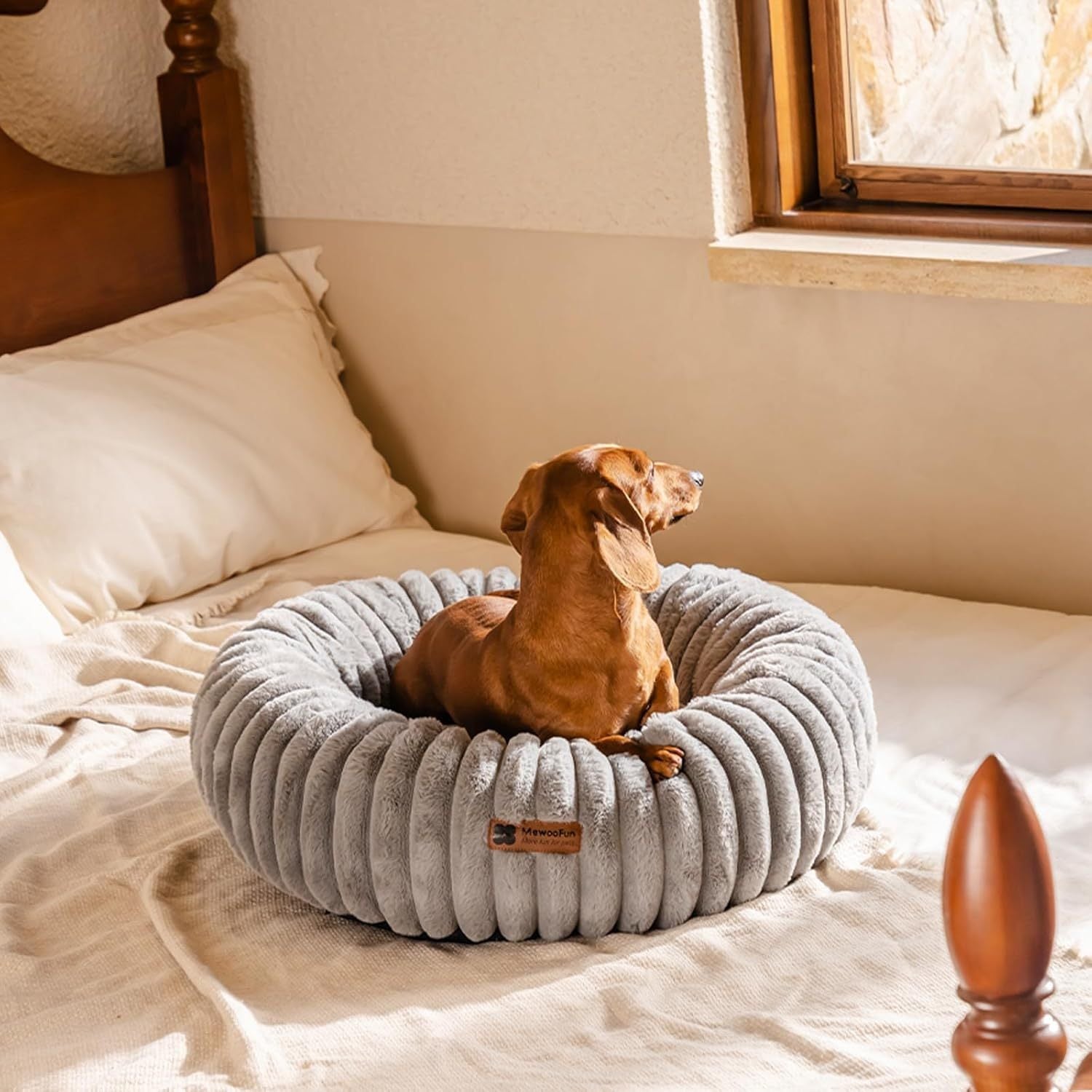Mewoofun Donut Cat Bed - Washable Round Pet Bed For Indoor C | Other