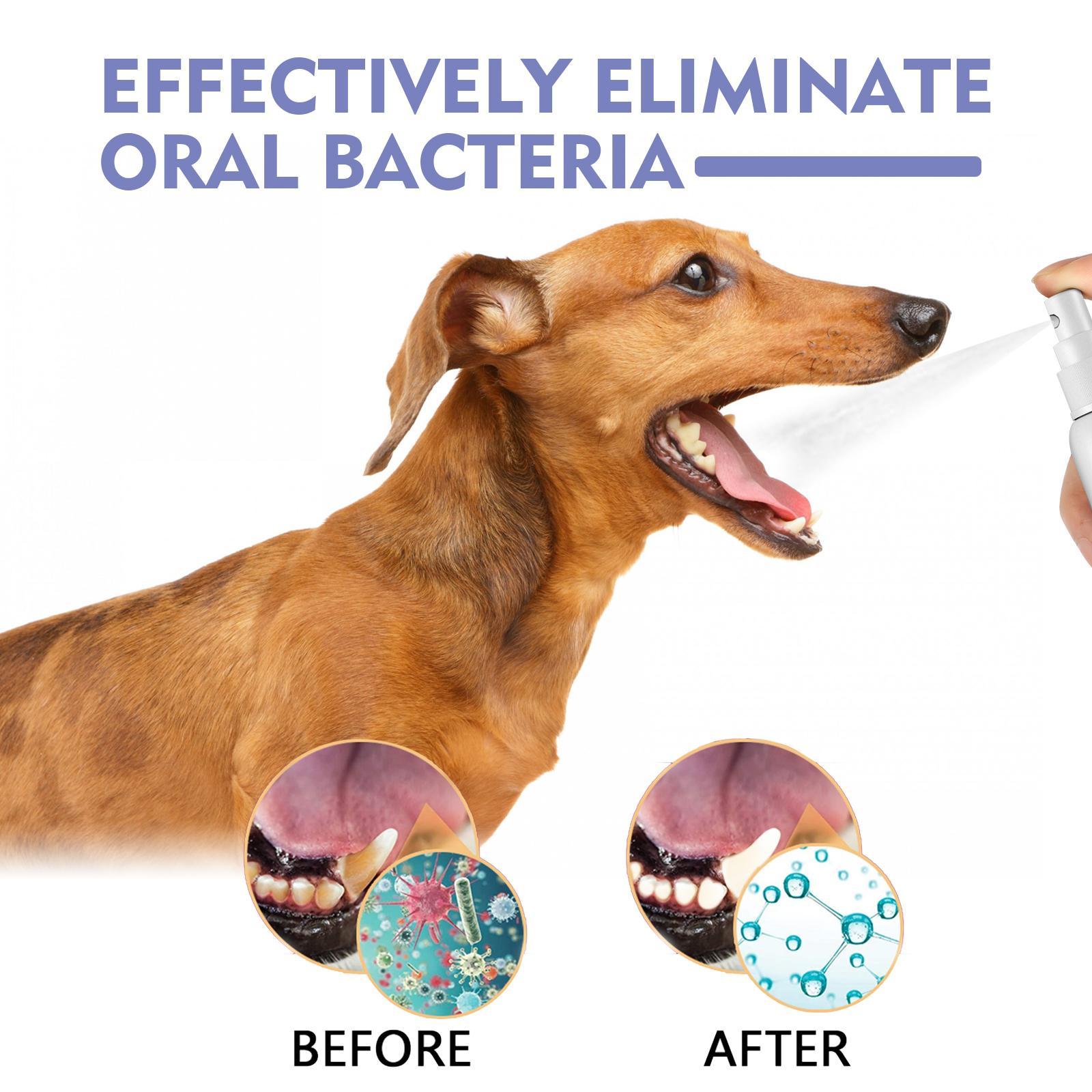 Yegebang Cat And Dog Teeth Cleaning Spray Pet Oral Cleaning | Other