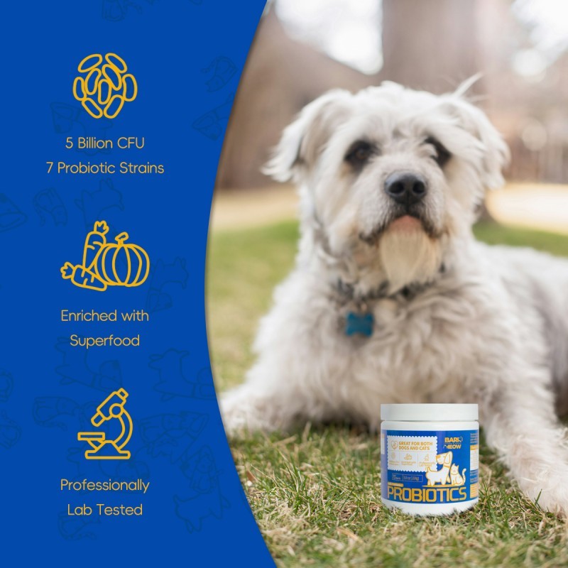 Bark And Meow Probiotics For Dogs & Cats 7 Tailored Strains | Other