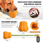Prokel Dog Rope Fetch Exercise Toyformedium Large Aggressiv | Electronic Learning Toys