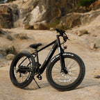 Professional Electric Bike For Adults, 26 X 4.0 Inches Fat T | Other