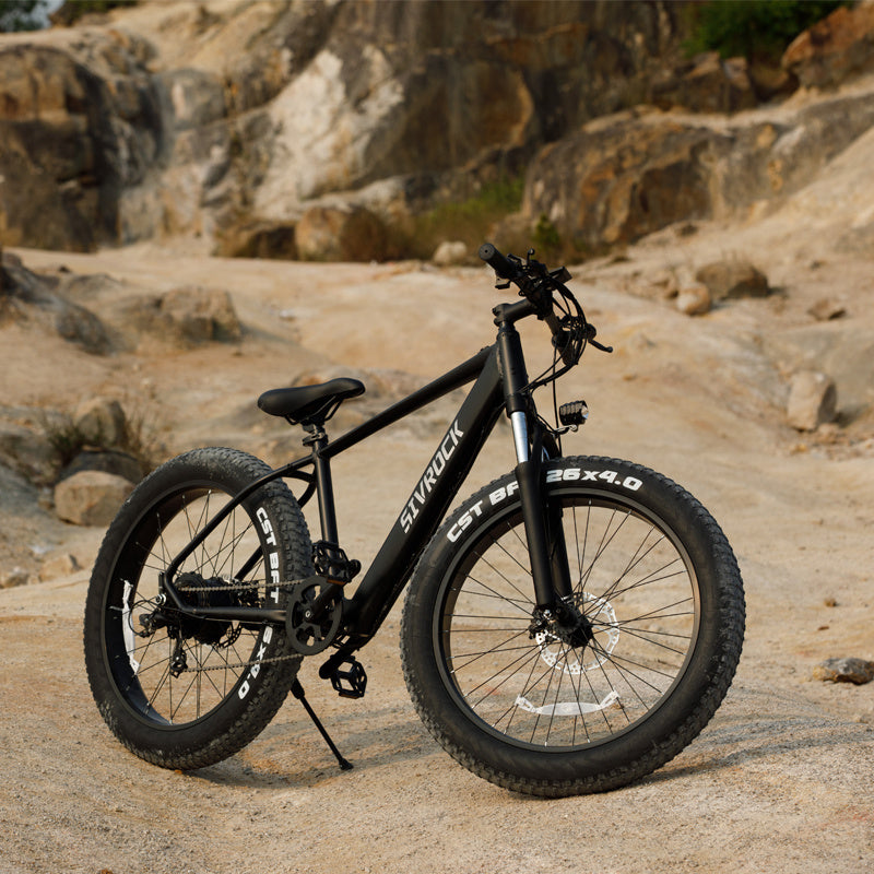 Professional Electric Bike For Adults, 26 X 4.0 Inches Fat T | Other