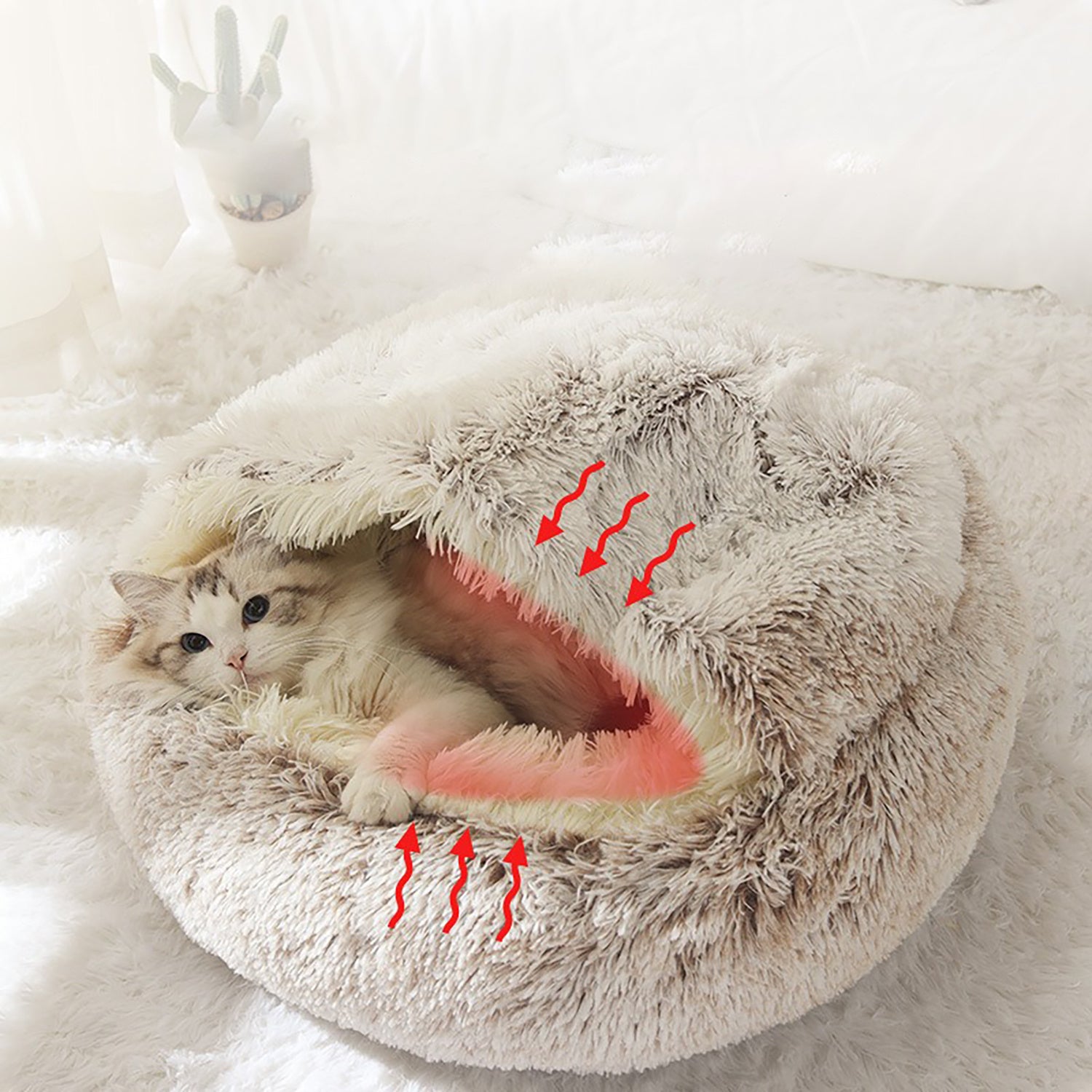 Luxurious Plush Round Cat Bed Cat Bed Round Soft Plush Burro | Other