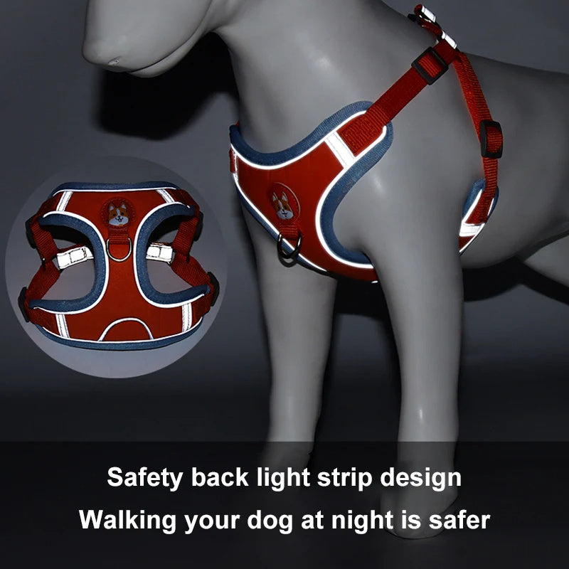Dog Leash And Harness Set Pet Dog Harness And Leash Set | Other