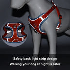 Dog Leash And Harness Set Pet Dog Harness And Leash Set | Other