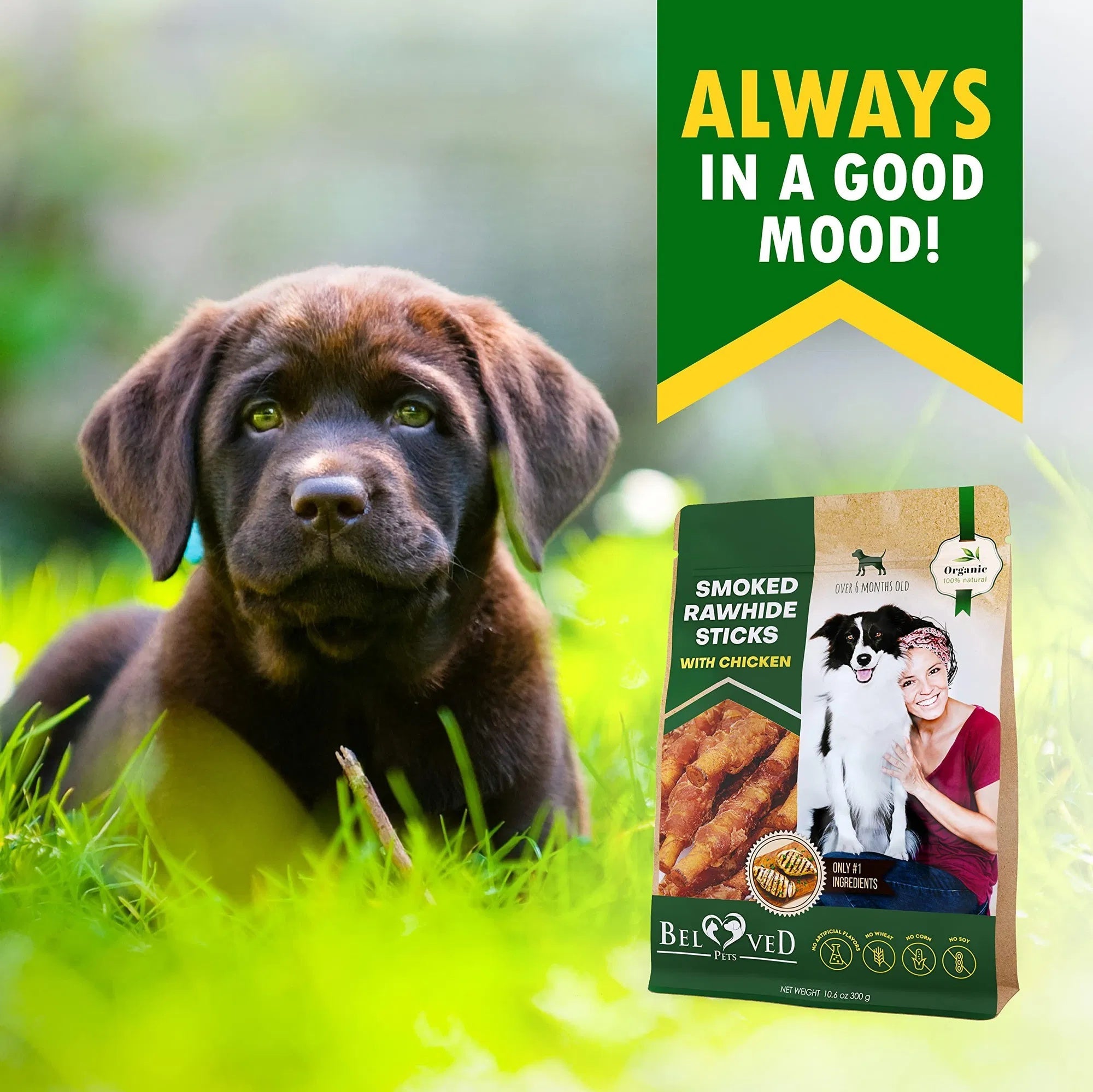 Dog Smoked Rawhide Sticks Wrapped Chicken Pet Natural Chew T | Other