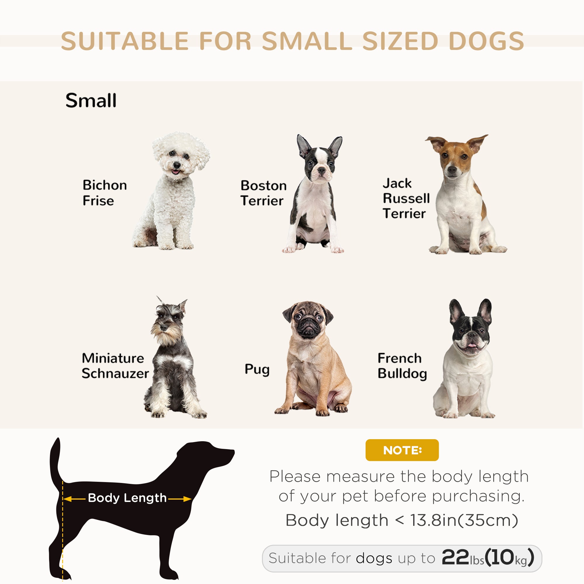 Luxury Small Dog Bed With Hidden Storage | Other