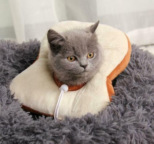 Adjustable Pet Neck Cone Recovery Pet Cat Recovery Collar Ca | Other