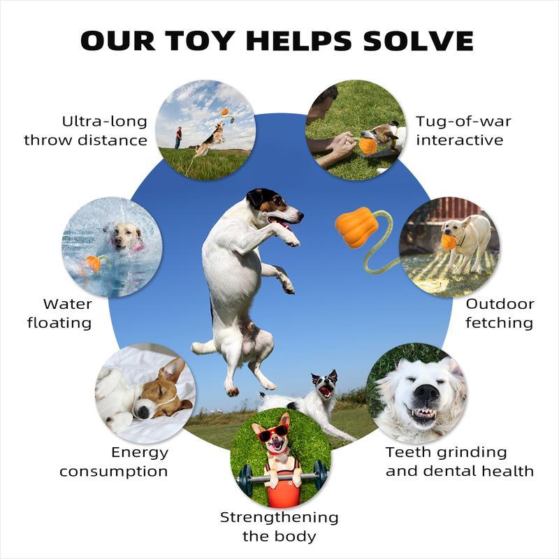 Prokel Dog Rope Fetch Exercise Toyformedium Large Aggressiv | Electronic Learning Toys