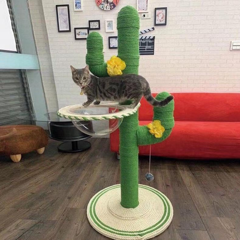 Cactus Cat Climbing Frame Self-made Diy Complete Material Pa | Other