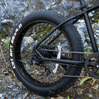 Professional Electric Bike For Adults, 26 X 4.0 Inches Fat T | Other