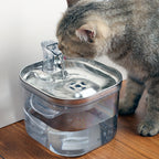 Pet Cat Dog Stainless Steel Automatic Circulation Water Disp | Other