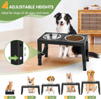 Xia Z Fashion Pet Products Black Dog Bowl Holder | Other