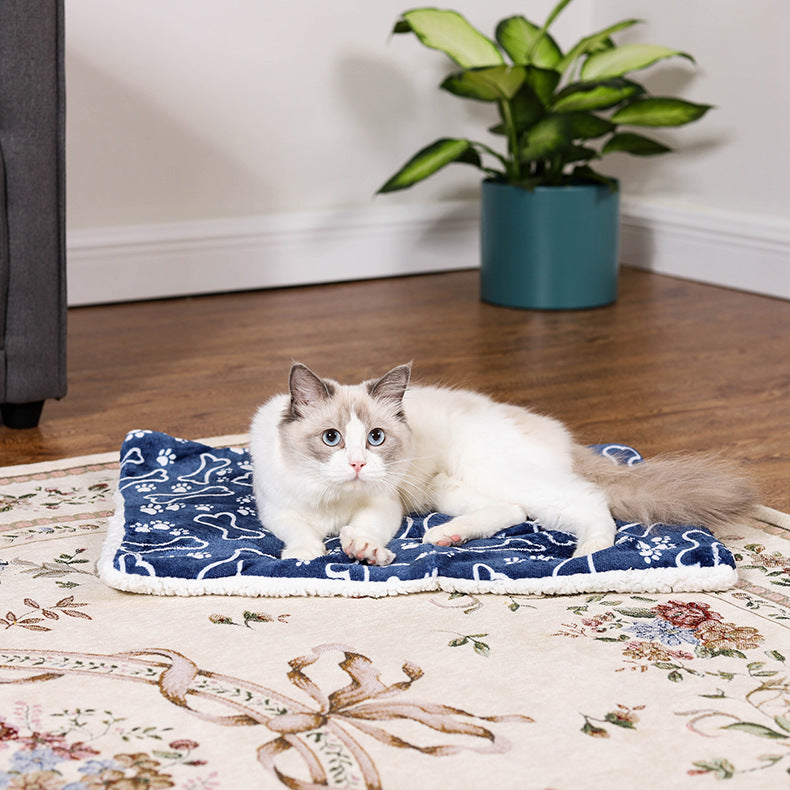 Pet Cartoon Thick Winter Warm Blanket | Other