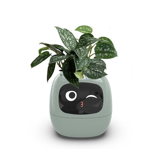 Smart Planter with AI Sensors – Interactive Plant Care with 49+ Expressions & Real-Time Monitoring