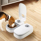 Automatic Pet Feeder Smart Food Dispenser For Cats Dogs Time | Other